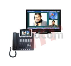 AP-VP250 video phone